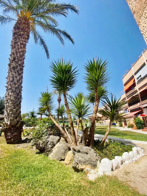 SE VENDE ESPECTACULAR ESTUDIO EN RETAMAR 8
